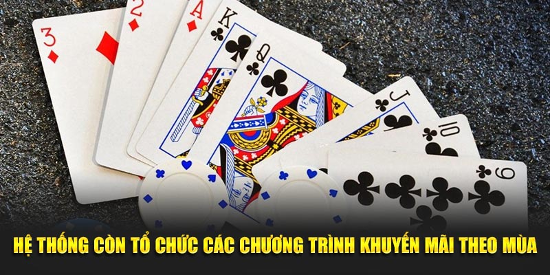 Hệ thống còn tổ chức các chương trình khuyến mãi theo mùa