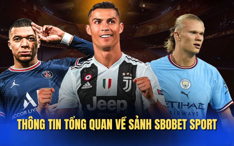 Thông tin tổng quan sbobet sport